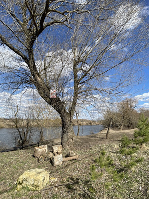 Продам участок 25,09 соток, ИЖС, Речная ул, Балково д, 0 км от города