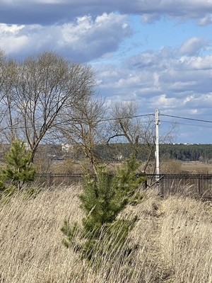 Продам участок 25,09 соток, ИЖС, Речная ул, Балково д, 0 км от города