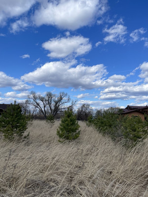 Продам участок 25,09 соток, ИЖС, Речная ул, Балково д, 0 км от города