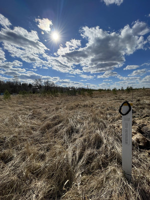 Продам участок 25,09 соток, ИЖС, Речная ул, Балково д, 0 км от города