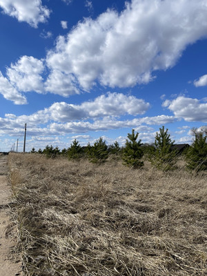 Продам участок 25,09 соток, ИЖС, Речная ул, Балково д, 0 км от города