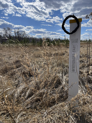 Продам участок 25,09 соток, ИЖС, Речная ул, Балково д, 0 км от города