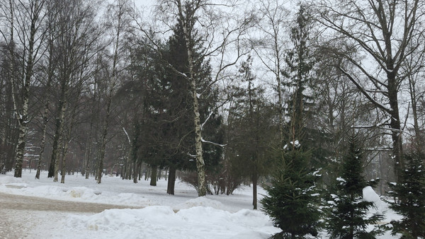 Продам трехкомнатную (3-комн.) квартиру, Энгельса пр-кт, 96О, Санкт-Петербург г