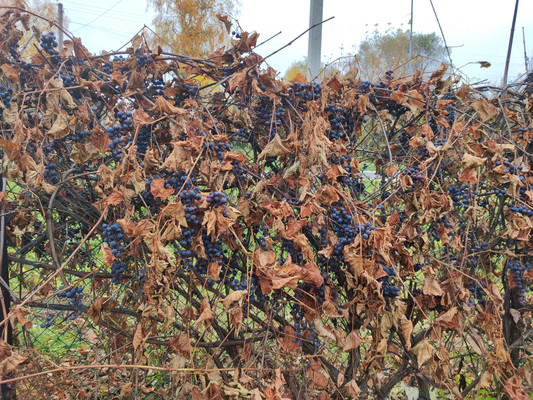 Продам дом, Советская ул, 69, Кечасово с, 0 км от города