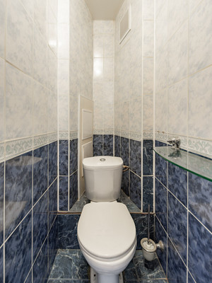 Продам трехкомнатную (3-комн.) квартиру, Дыбенко ул, 22к1, Санкт-Петербург г