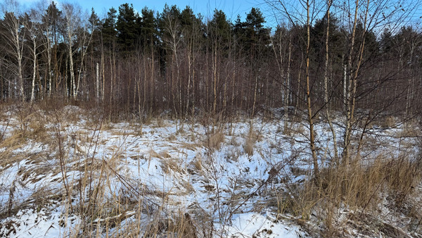 Продам участок 7,63 соток, ИЖС, 2-я Серебряная ул, Раменское г, 0 км от города