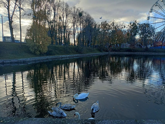 Продам двухкомнатную (2-комн.) квартиру, Горького ул, 96, Калининград г