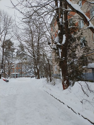 Продам двухкомнатную (2-комн.) квартиру, Центральная ул, 13, Ботня д