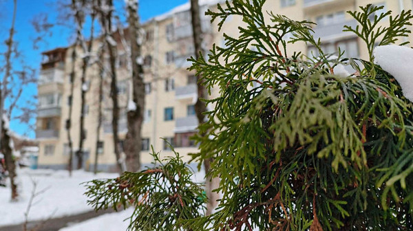 Продам двухкомнатную (2-комн.) квартиру, Мясищева ул, 8, Жуковский г