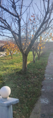 Продам дом, Кубанская ул, 26, Гостагаевская ст-ца, 0 км от города