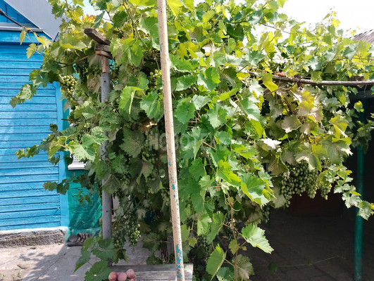 Продам дом, Нестеренко ул, 30, Каневская ст-ца, 0 км от города