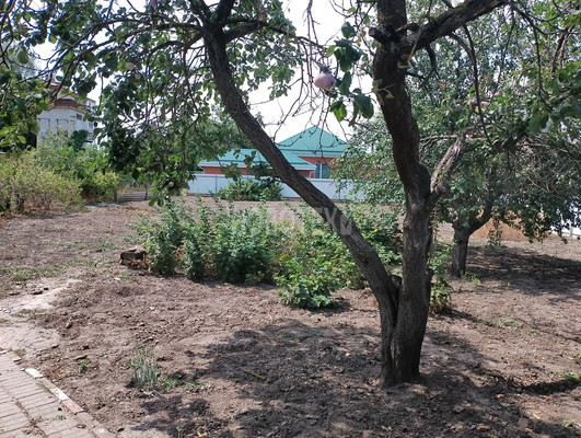 Продам дом, Нестеренко ул, 30, Каневская ст-ца, 0 км от города