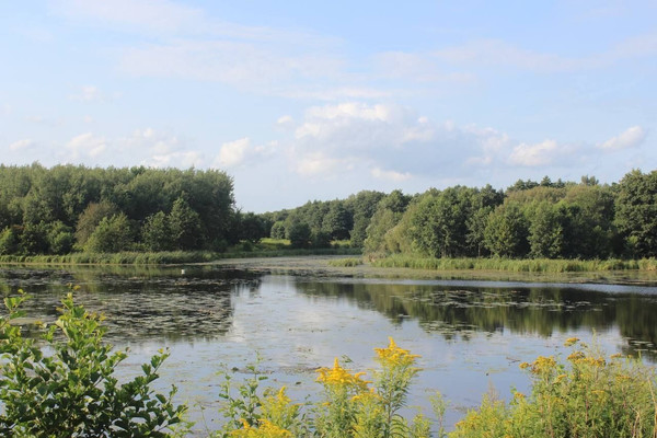 Продам дом, Орловка п, 0 км от города