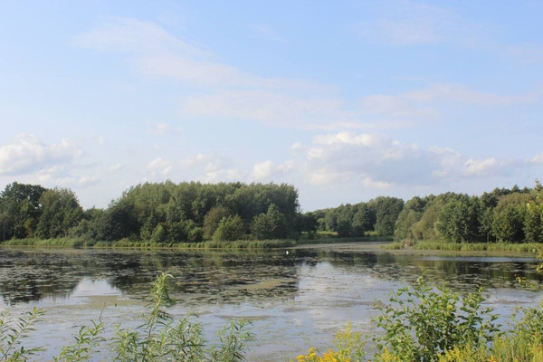 Продам дом, Орловка п, 0 км от города