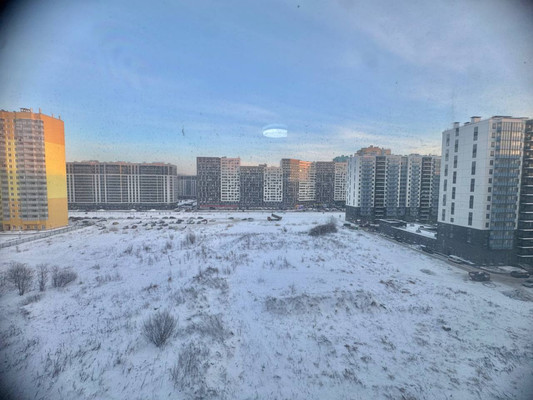 Продам однокомнатную (1-комн.) квартиру, Графская ул, 6к4, Мурино п