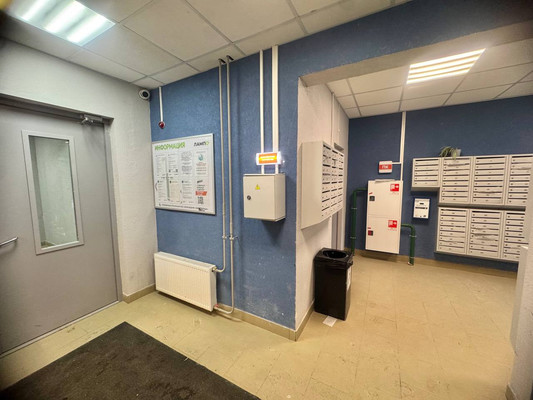 Продам однокомнатную (1-комн.) квартиру, Графская ул, 6к4, Мурино п