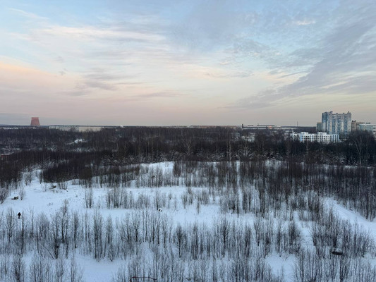 Продам однокомнатную (1-комн.) квартиру, Шоссе в Лаврики ул, 67, Мурино п