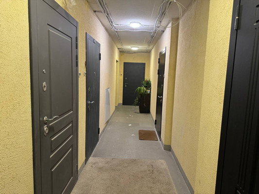 Продам однокомнатную (1-комн.) квартиру, Шоссе в Лаврики ул, 67, Мурино п