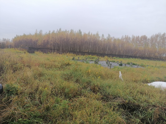 Продам участок 59,78 соток, ИЖС, Никиты Демидова (Заветные истоки тер.) ул, Сысоевка д, 0 км от города