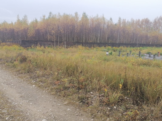 Продам участок 59,78 соток, ИЖС, Никиты Демидова (Заветные истоки тер.) ул, Сысоевка д, 0 км от города