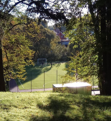 Продам трехкомнатную (3-комн.) квартиру, 5, Язово д