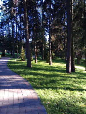 Продам трехкомнатную (3-комн.) квартиру, 5, Язово д