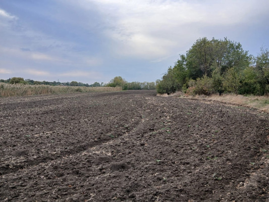 Продам дом, Кирпичная ул, 3, Братский п, 0 км от города