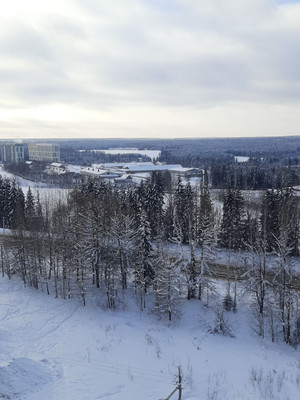 Продам однокомнатную (1-комн.) квартиру, Октябрьский пр-кт, 216, Сыктывкар г