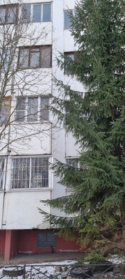 Продам однокомнатную (1-комн.) квартиру, Энергетиков ул, 8, Новое Девяткино д