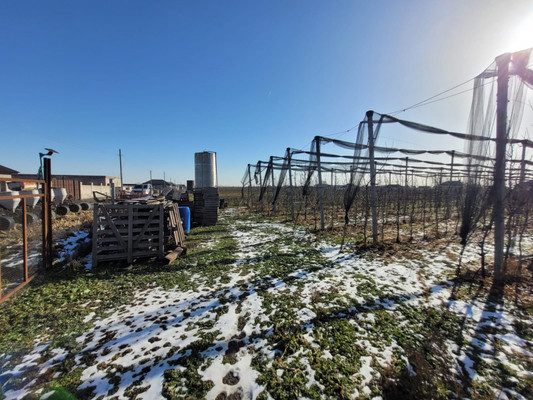 Продам участок 20 соток, ИЖС, Ерижокова ул, Баксаненок с, 0 км от города