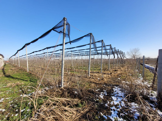 Продам участок 20 соток, ИЖС, Ерижокова ул, Баксаненок с, 0 км от города