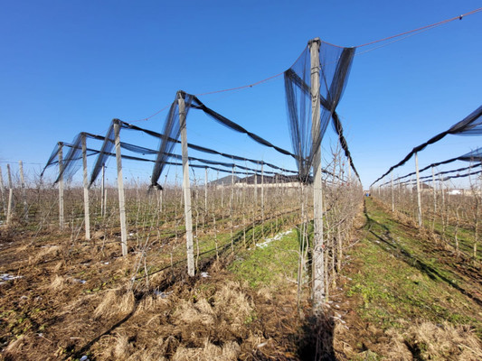 Продам участок 20 соток, ИЖС, Ерижокова ул, Баксаненок с, 0 км от города