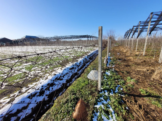 Продам участок 20 соток, ИЖС, Ерижокова ул, Баксаненок с, 0 км от города