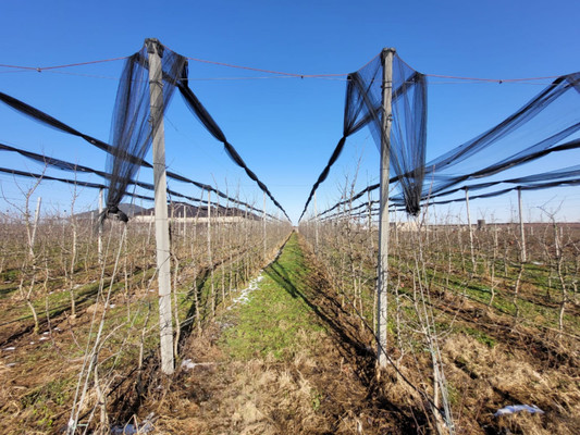 Продам участок 20 соток, ИЖС, Ерижокова ул, Баксаненок с, 0 км от города