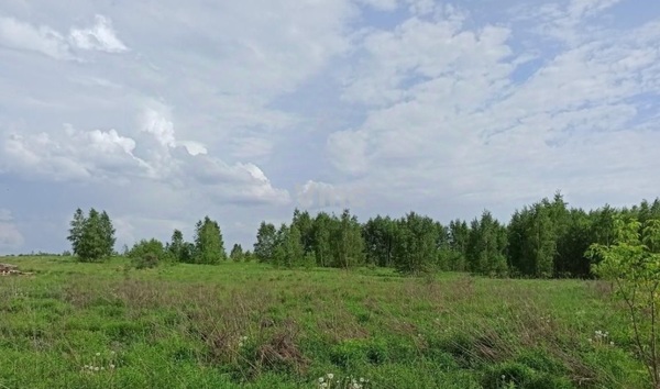 Продам участок 480 соток, ИЖС, Рублево-Успенское ш, Борки д, 0 км от города