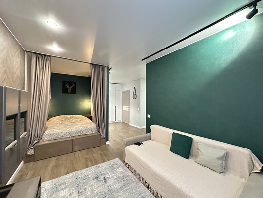 Продам однокомнатную (1-комн.) квартиру, Парфёновская ул, 9к1, Санкт-Петербург г