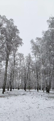 Продам трехкомнатную (3-комн.) квартиру, Студенческий проезд, 8, Ивантеевка г