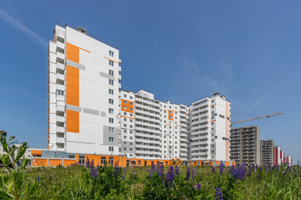 Продам торговое помещение 52,3 м2, Московское ш, 258к1, Шушары п