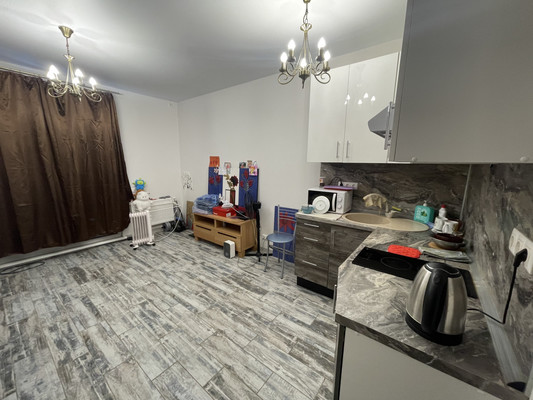 Продам однокомнатную (1-комн.) квартиру, Молодежная ул, 26б, Речицы с