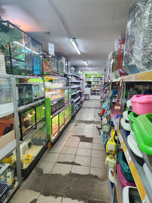 Сдам торговое помещение 162,3 м2, Академика Книповича ул, 63, Мурманск г