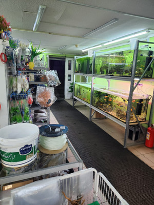 Сдам торговое помещение 162,3 м2, Академика Книповича ул, 63, Мурманск г