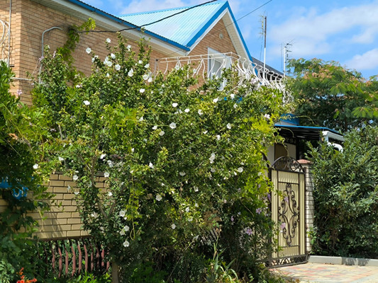 Продам дом, Светлая (Южное тер. ДНТ) ул, Красный х, 0 км от города