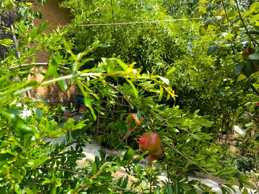 Продам дом, Светлая (Южное тер. ДНТ) ул, Красный х, 0 км от города