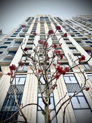 Продам двухкомнатную (2-комн.) квартиру, Академика Королева ул, 21, Москва г