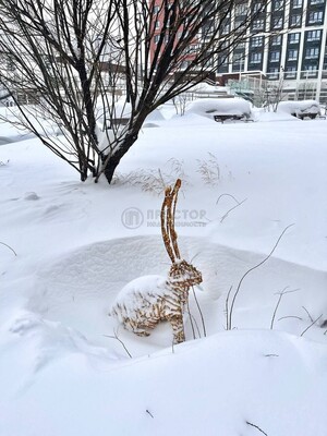 Продам двухкомнатную (2-комн.) квартиру, Академика Королева ул, 21, Москва г