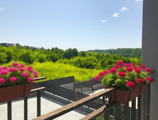 Продам дом, Мясникяна ул, Нижняя Шиловка с, 0 км от города