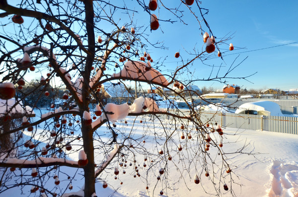 Продам дом, 24а, Кулаково д, 0 км от города