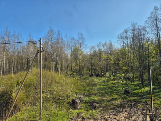 Продам дом, дачный поселок Имение Оржицкого тер, 0 км от города