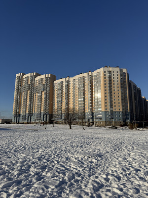 Продам трехкомнатную (3-комн.) квартиру, Белышева ул, 5/6А, Санкт-Петербург г