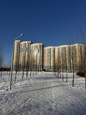 Продам трехкомнатную (3-комн.) квартиру, Белышева ул, 5/6А, Санкт-Петербург г